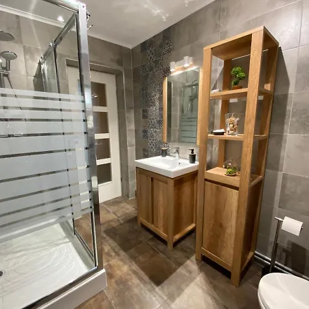 Evergreen * Timişoara