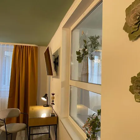 Evergreen Τιμισοάρα