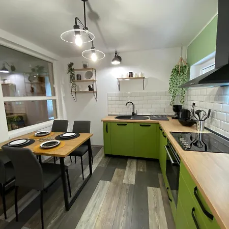 Evergreen Lägenhet Timişoara