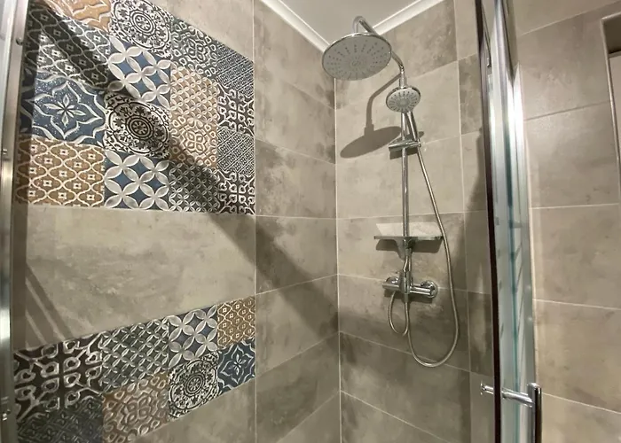 Evergreen * Тімішоара