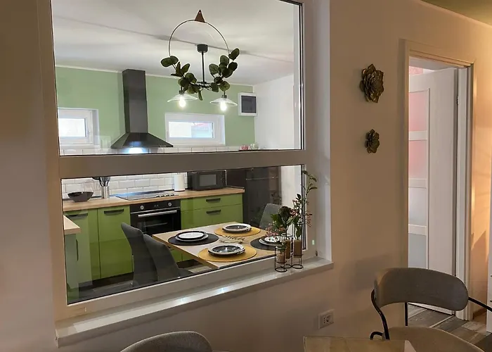 Evergreen Тімішоара