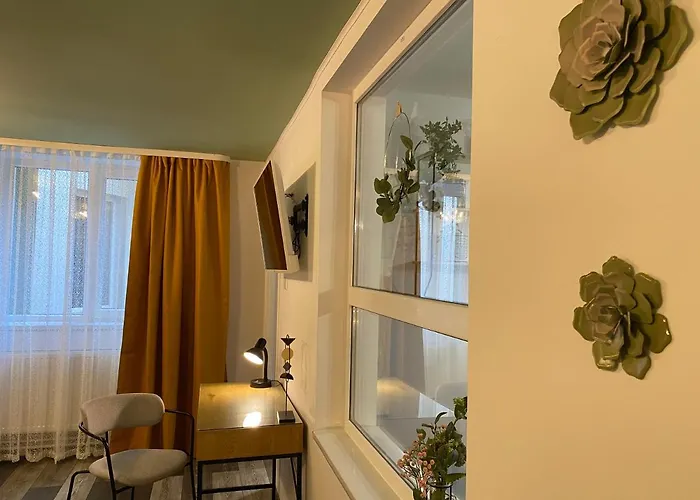 Evergreen Тімішоара