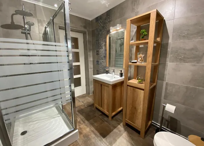 Evergreen * Timisoara